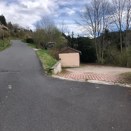 F3 Superbe Vue Lac, Grand Balcon, Ambiance Nature * Gérardmer